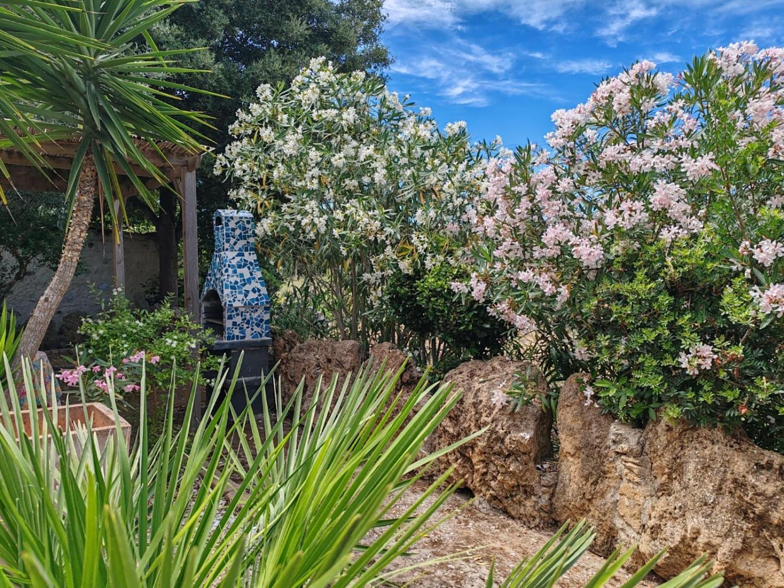 Sa Branda Costa Country Alghero Санта Мария ла Палма Стая снимка